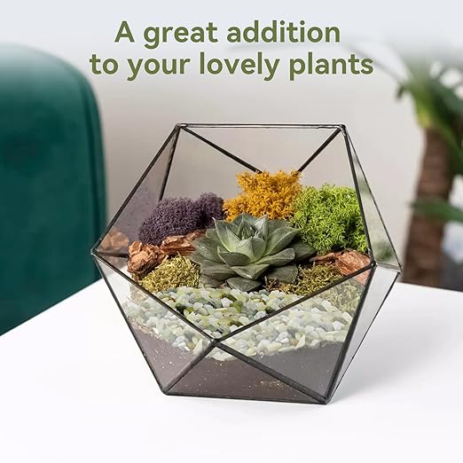 Pulovin 2.5LB Succulent and Cactus Pebbles, 1/5 Inch Jade Pebbles for Indoor Plants, Decorative Gravel for Vases, Bamboo, Succulent, Terrarium, Crafts, Cactus
