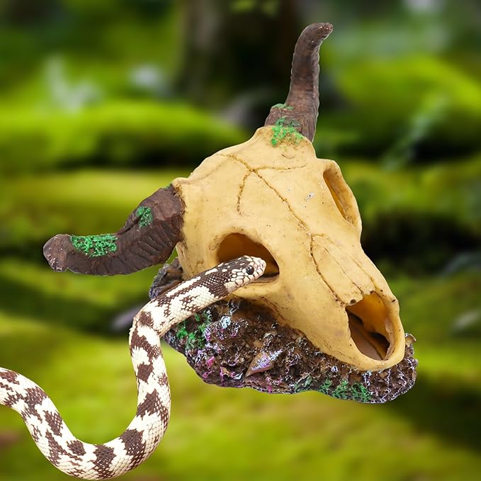 Snake Hideout, Reptile Aquarium Skull Decor, Resin Skeleton Head Fish Hide, Tank Terrarium Aquarium Accessories, Reptile Hides and Caves for Fish Bearded Dragon Salamander Ball Python Leopard Gecko
