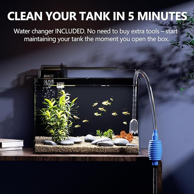 5 Gallon Fish Tank Aquarium Kit with HOB Filter, LED Light with Timer, Lid, Siphon Vacuum Cleaner, Self Cleaning Glass Rimless Betta Tank
