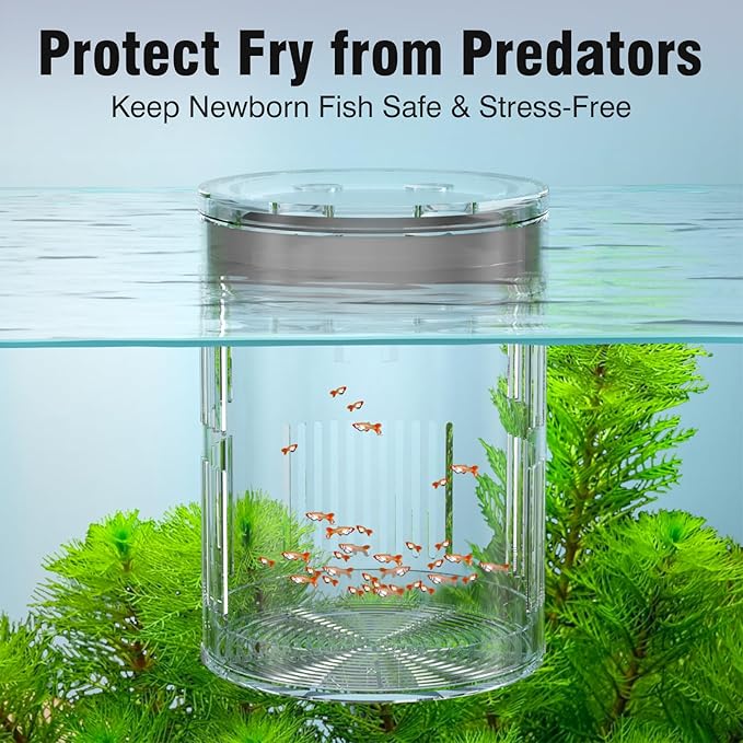 Floating Acrylic Breeder Box for Fish Tank - Aquarium Isolation Separator Hatchery Incubator for Guppy, Betta, Clownfish, Coral, Baby & Injured Fish