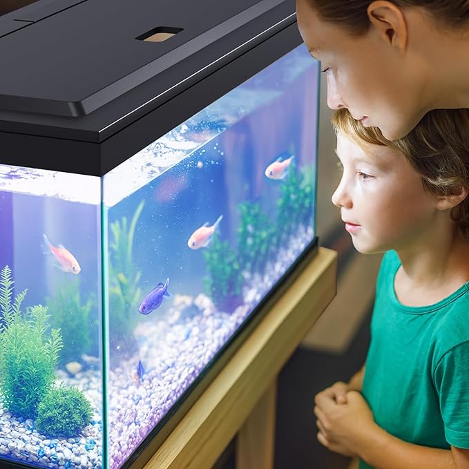 LED Aquarium Hood, Fish Tank Cover with Adjustable-Brightness Colored Light Tubes, Replaceable Full-Length Bulb, Fits 24-Inch Framed Aquariums, Black