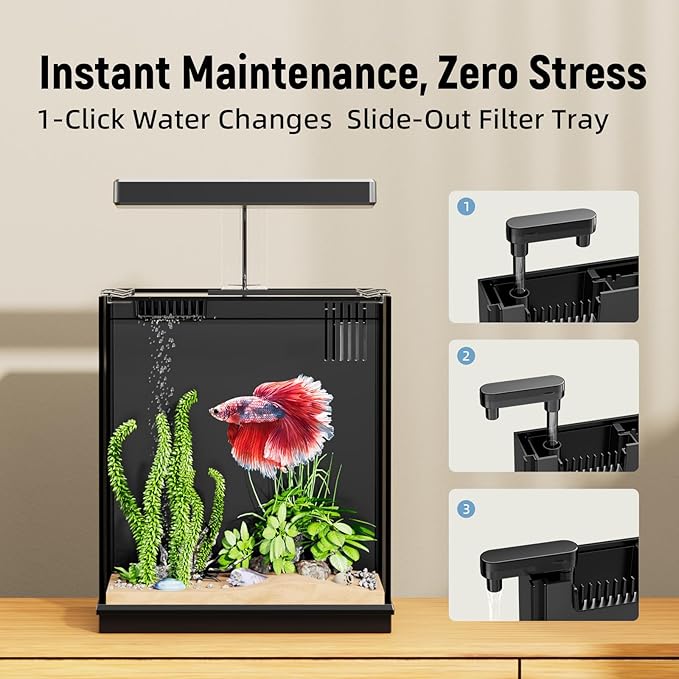 Betta Fish Tank, 2 Gallon Beta Fish Aquariums with Filtration, All-in-One Fish Tanks for Beginners