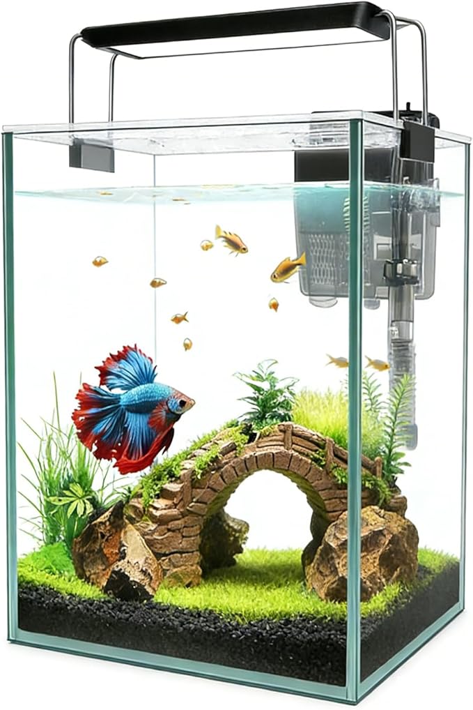 Ultra White Glass Aquarium Starter Kits 1.5 Gallon Small Fish Tank, Betta Fish Tank with LED Light, Power Filter, for Home Office Deco, 4mm Glass