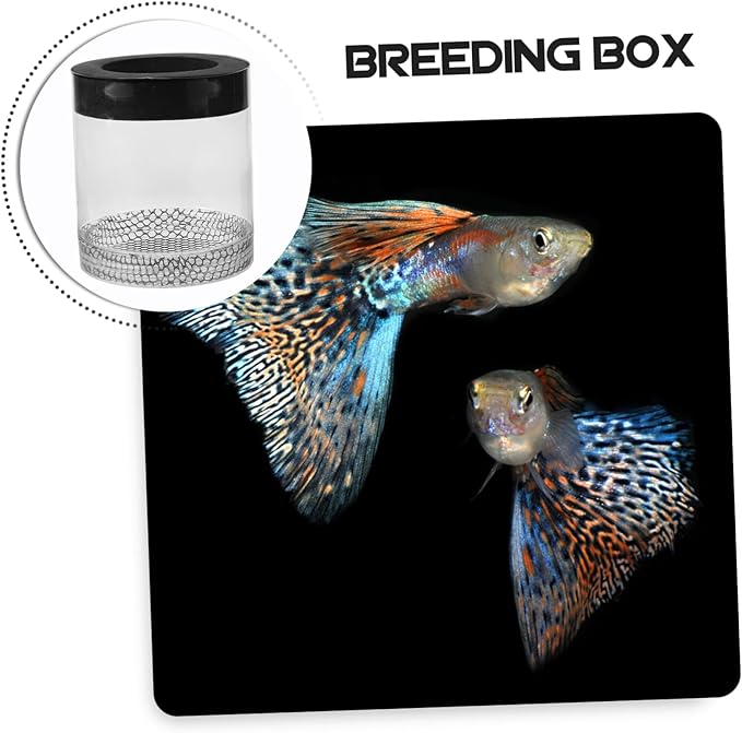 Ipetboom Fish Tank Hatching Box Floating Breeding Box Survival Rate Enhancer for Baby Fry Fish