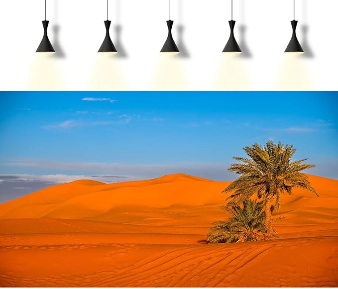 Desert Reptile Tank Background Majestic Sunset Desert Landscape Terrarium Background Desert Palm Tree Sand Dunes Reptile Habitat Background Sunrise Sahara Desert Aquarium Fish Tank Background 36x18in