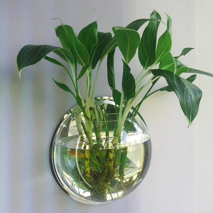 Wall Hanging Fish Bowl,Acrylic Wall Mounted Plant Pot,Small Fish Tanks,Decorative Planter Aquariums,for Home Office Decor