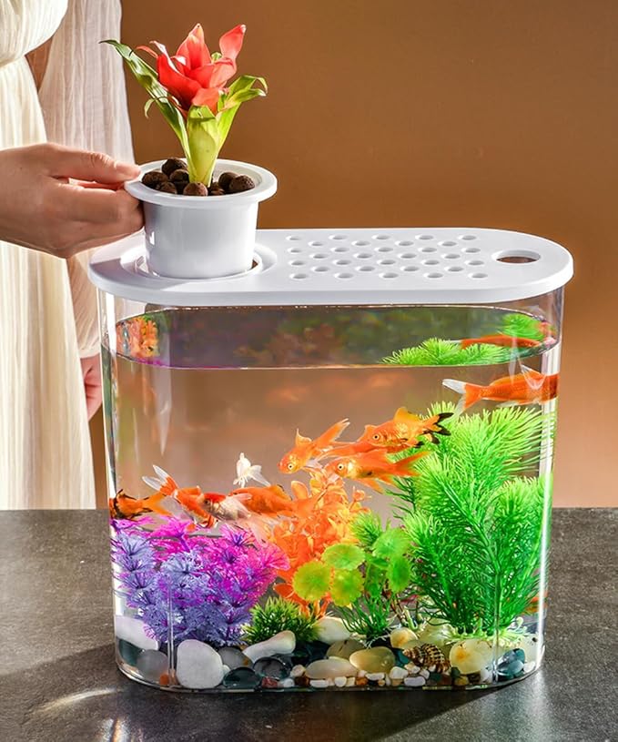 Small Fish Tank 2 Gallon, Desktop Mini Fish Tank, Starter Kits Betta Fish Tank with Decor Stones and Water Grass Decorations for Home or Office