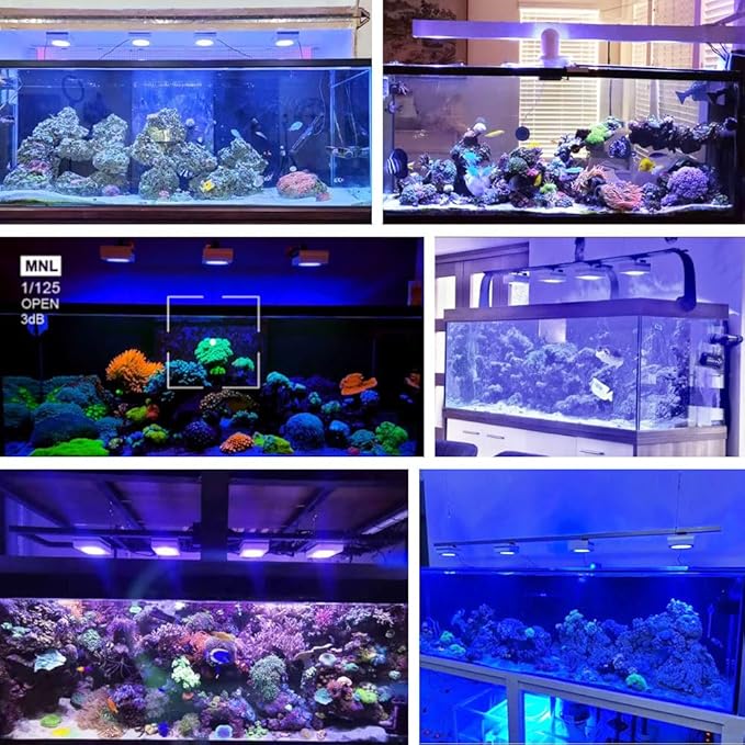 PopBloom RL90 iOS/Android App Control Saltwater Reef Aquarium Light 72 inch Aquarium LED WiFi Lights LED Coral Reef Lighting for 180-220cm Tank