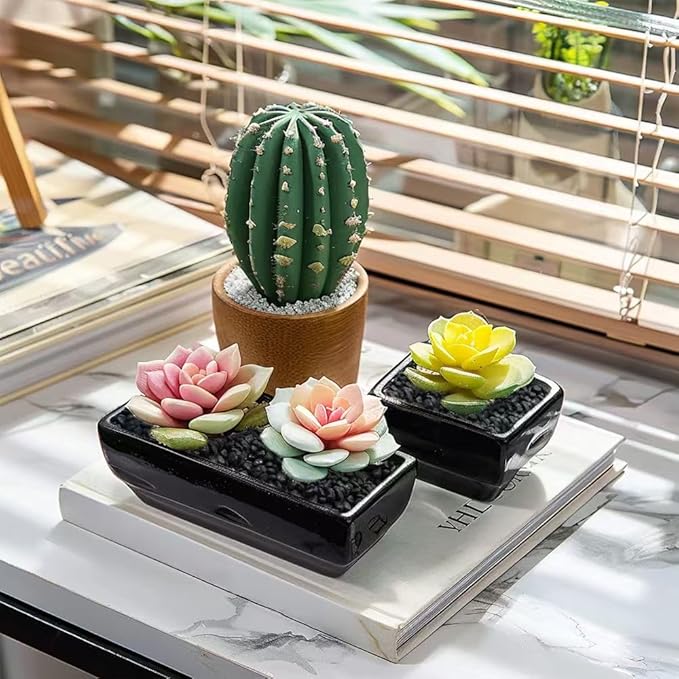 HappyFiller 0.88 LB Black Gravels Small Stones Succulent Mini Rocks Planter Soil Cover Pebbles, Fairy Garden,Terrarium,Lucky Bamboo,Cactus Topper Dressing Decor,Aquarium Fish Tank Bottom Granule