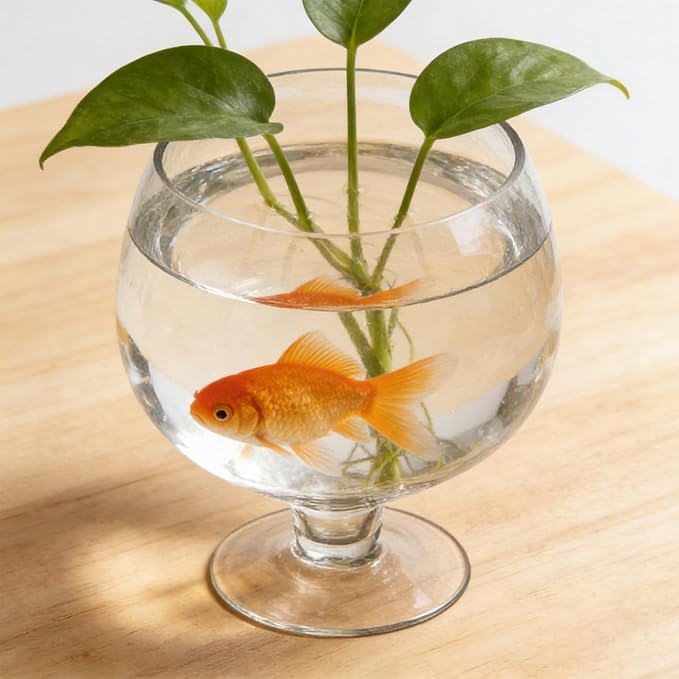 Transparent Glass Fish Bowl Vase, Multi-Function Betta Tank, Desktop Goldfish Aquarium, Hydroponic Plant Pot, Wine Glass Shape, Home Office Decor