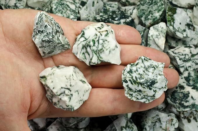 Fantasia Materials: 3 lbs Tree Agate Rough Stones from India