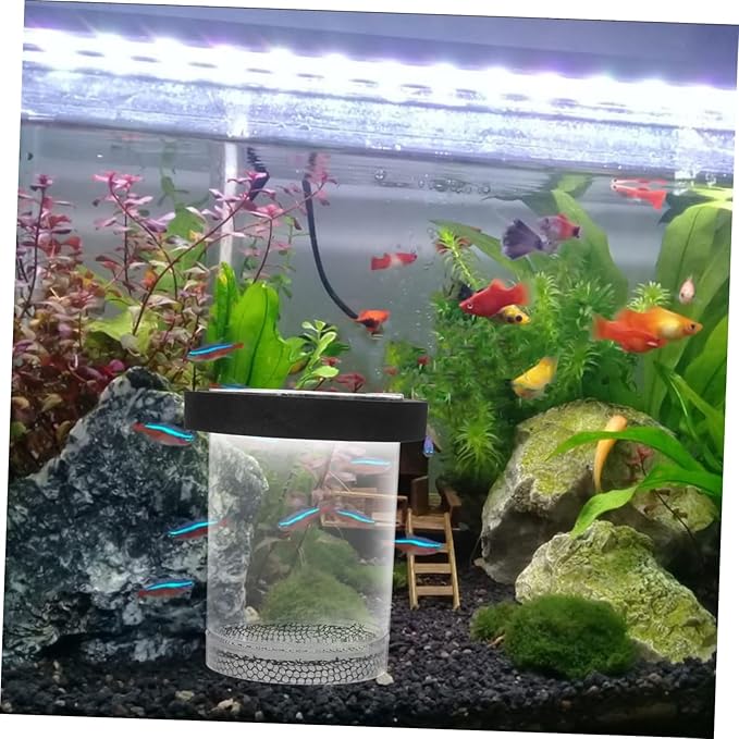 Ipetboom Box Pot Fish Breeding Cage Aquarium Hatchery Tank Hatchery Incubators Breeding Cage for Guppy Betta Fish Tank Floating Fish Tank Hatching Incubator Sink Small Fish