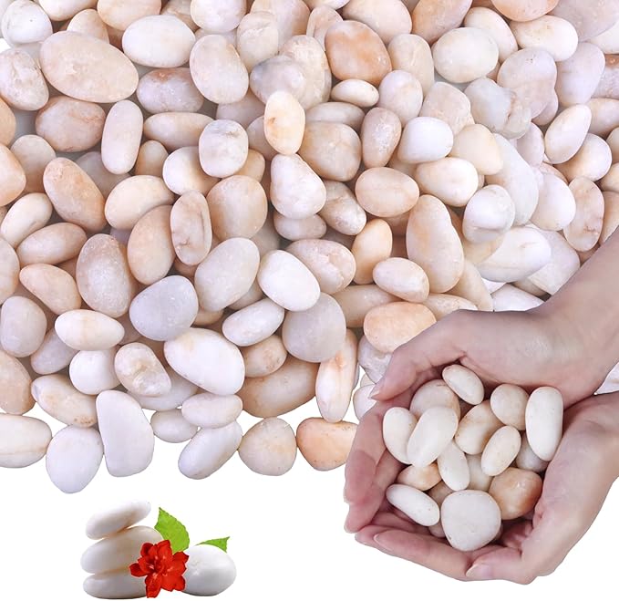 10Ib Cream White River Rock- Decorative Pebbles for Plants - River Rocks for Outdoor Landscaping- 0.3"-0.8" inch High Polished Stones for Aquarium, Terrarium,Vases, Home Decor