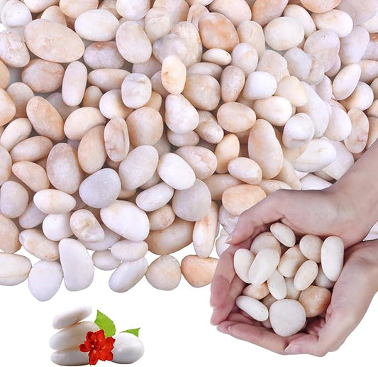 10Ib Cream White River Rock- Decorative Pebbles for Plants - River Rocks for Outdoor Landscaping- 0.3"-0.8" inch High Polished Stones for Aquarium, Terrarium,Vases, Home Decor