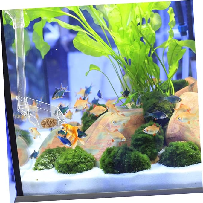 KALLORY Acrylic Aquarium Fish Feeder Tube 28cm Shrimp Feeding Dish Tray Fish Tank Accessories for Automatic Feeding in Aquariums