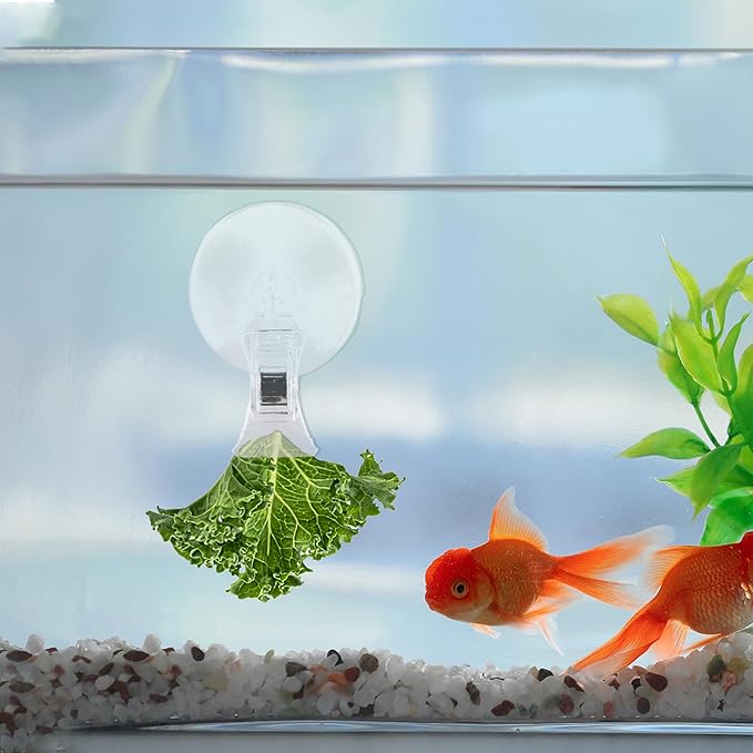 Veggie Clip Aquarium, Feeding Tool Suction Cup Clip, Seaweed Plant Suction Cup Clip, Clear Resin Suction Cups W/Clips for Aquarium Accessories, 1.73"