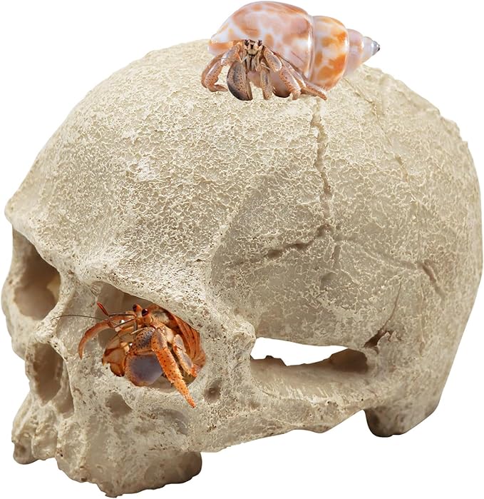 Snake Hideout, Reptile Aquarium Skull Decor, Resin Skeleton Head Fish Hide, Tank Terrarium Accessories, Reptile Hides and Caves for Fish Bearded Dragon Ball Python Leopard Gecko 4.7 × 3.5 × 3.7 Inch