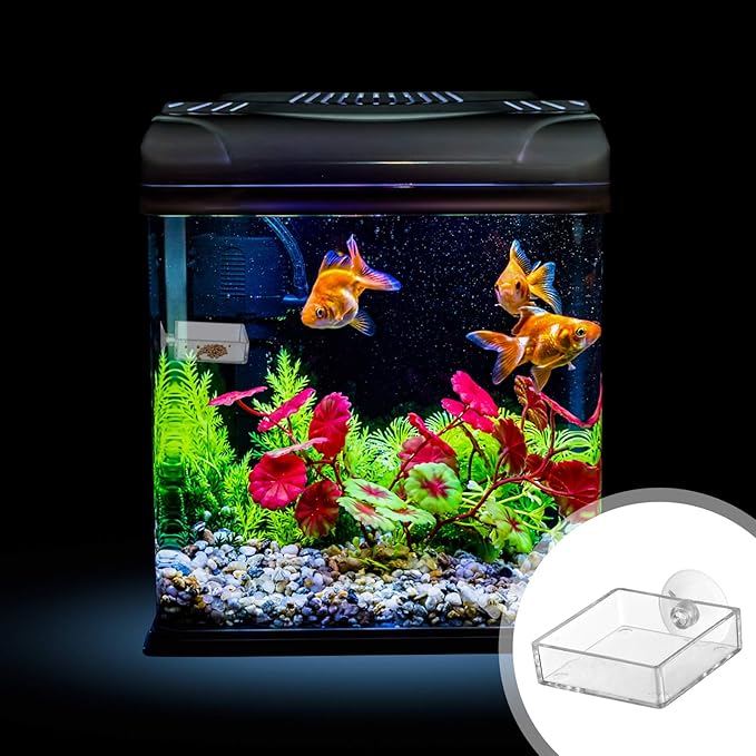 5pcs Aquarium Shrimp Feeder Dish with Suction Glass Fish Tank Feeding Bowls Clear Dishes Tray