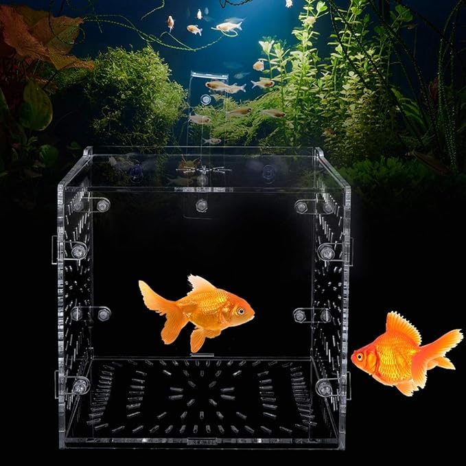 Aquarium Breeder Box for Fish Tank, Fish Breeding Box Tank Hatchery Incubator Aquarium Isolation Box for Seedlings Incubation(S)