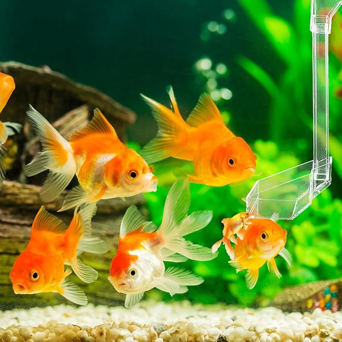 Uonlytech Acrylic Aquarium Fish Feeder and Shrimp Tank Feed Tube 21cm Automatic Feeding Ring for Precise Shrimp and Fish Food Dispensing in Aquatic Tanks