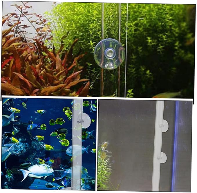 BESPORTBLE 1set Acrylic Fish and Shrimp Feeder Plate Easy Installation for Aquariums Diameter Height Safe for Fish Tanks