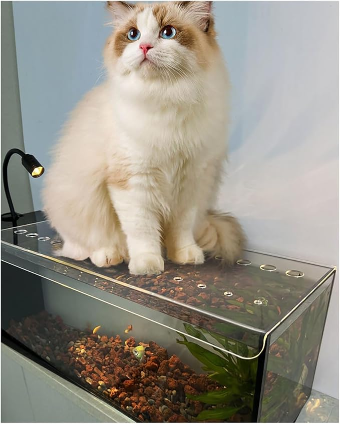 Cat Proof Fish Tank Lid, Custom Fish Tank Hood Cover, Jump Guard Aquarium Cover, Prevents Fish from Jumping Out(42x16in/106.68x40.64cm)