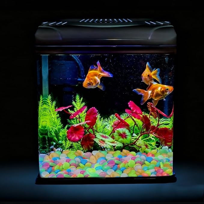 Oubest Glow in The Dark Pebbles/Glow Stones/Glowing Rocks Blue Decor for Garden/Fish Tank/Aquarium/Walkway/Driveway/Plant Pots/Bonsai (200, Multi-Colored)
