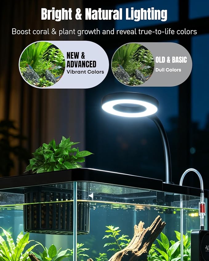 Pawfly 2 Gallon Fish Tank, Ultra Clear Aquarium Starter Kit with 6 W LED Aquarium Light, Mini Air Pump, Filter, Siphon Vacuum Water Changer & Basket, Small Fish Tank for Betta