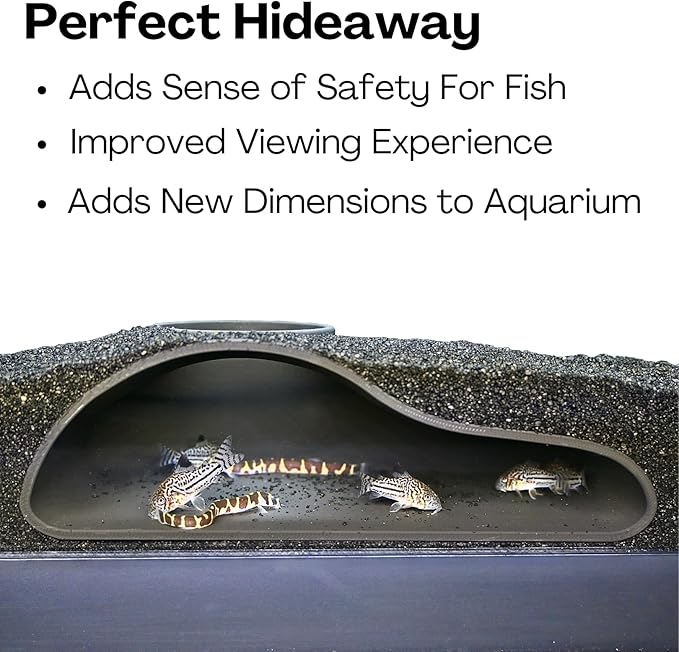 Lucky Critter Aquarium Underground Tunnel Cave Natural Curve | Viewing Fish & Shrimp Under Gravel Tunnel | Fish Tank Decor Decoration Hideout Perfect for Corydora Catfish, Kuhli Loach, Pleco