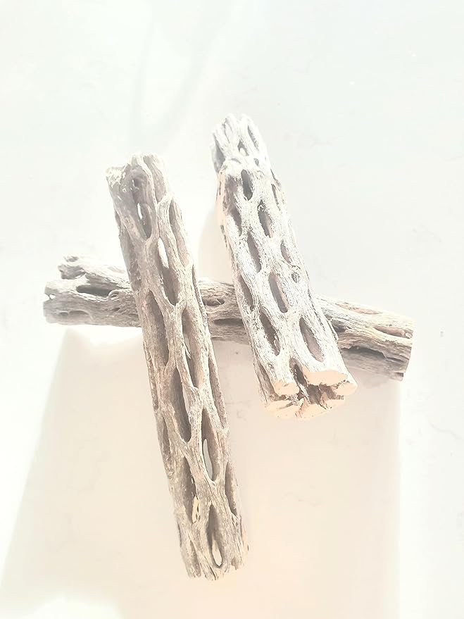 Hexagrowth Cholla Wood Shrimp Hideout, Habitat for Fish, Toy for Gecko, Hermit, Snake, Isopods, Millipedes, Beetle, Snail, Airplant Decor, Bird Perch, Untreated Size 6'' Long, 1'' Diameter (3 Pieces)