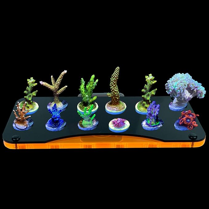 ESHOPPS Alpha Rack Mega Magnetic Coral Frag Rack 12 Holes with Strong Anti-Slip Rubber Padded Magnet for Reef Tanks
