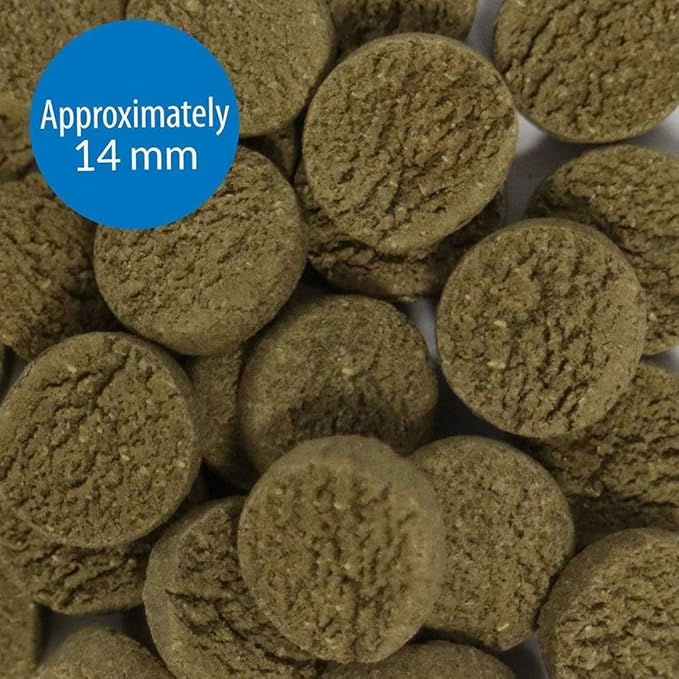 API Algae Eater Pea Protein Natural Pre-Biotic Algae Wafer with spirulina for Algae Eating Fish (6.4 Oz)
