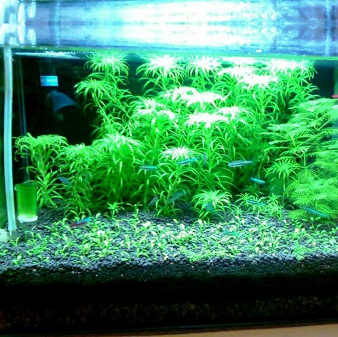 Hewnda 2 LB to Complete Freshwater Planted Aquarium Substrate,Aquatic Plant Cultivation Medium