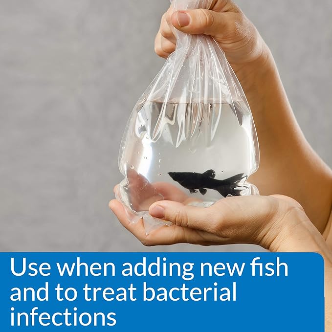 API MELAFIX Freshwater Fish Bacterial Infection Remedy 8-Ounce Bottle