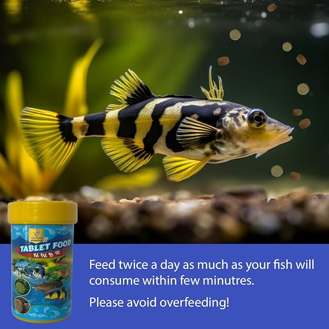 Fish Food for Bottom Feeders (2.1 Oz), Balanced Diet, Sinking Tablets for Bottom Breeders, Sinking Wafers