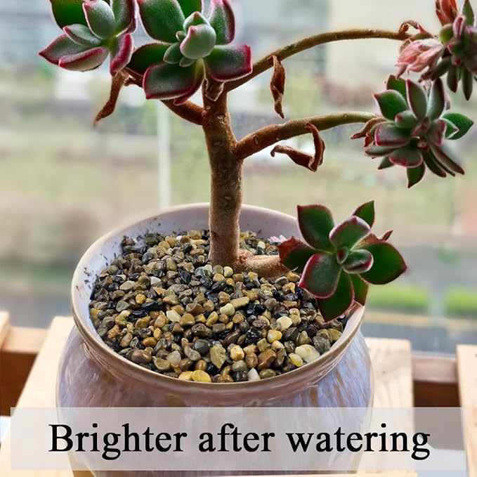 FANTIAN 2 lbs Aquarium Gravel, 1/4 inch Pea Gravel for Fish Tank, Decorative Pebbles River Rocks for Plants Succulent Vase Indoor Water Fountains and Outdoor Landscaping