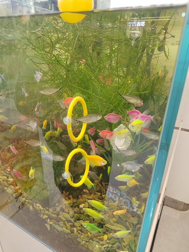 Betta Fish Enrichment Toys Ring and Mirror Floating Exercise Mirrors and Training Ring Floating Mirrors Aquarium with Feeding Rings Aquarium Accessories with Suction-Cup (Yellow)