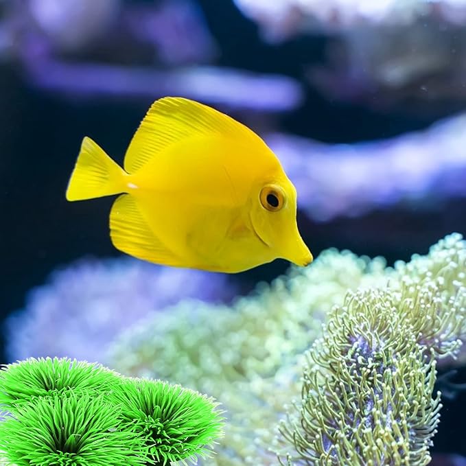Tyenaza Fish Breeding Grass, Aquarium Fish Tank Plastic Plants Ornamental Fish Betta Resting Spawning Bed Plastic Aquarium Plants Fish Tank Supplies