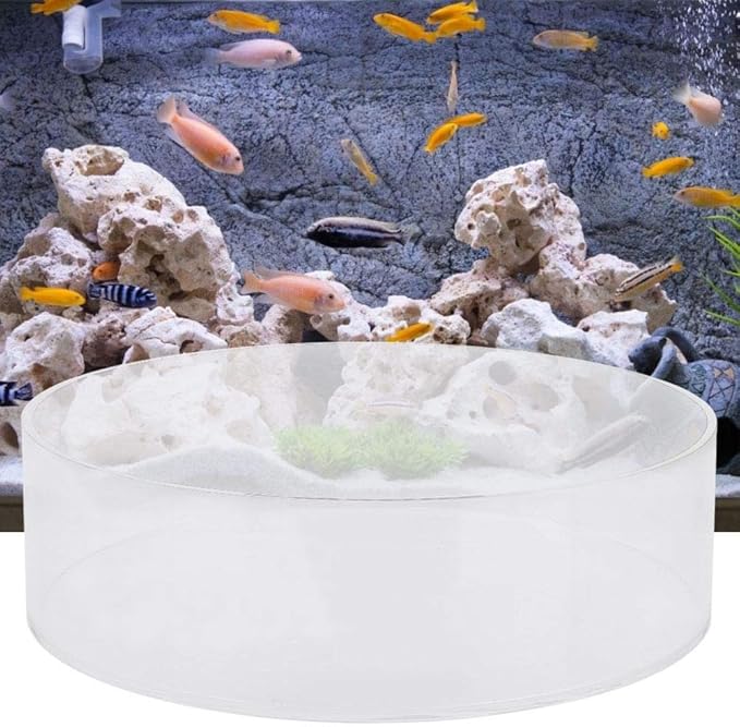 Coral Viewer Fish Tank Acrylic,Fish Tank Acrylic Coral Observe Lense Aquarium Fish Photograph Cylinder Magnifier Coral Observe Lense (150mmm)