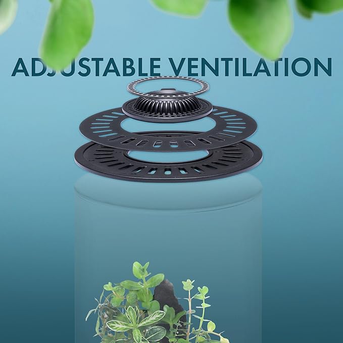 SubstrateSource Bio Cylinder - Glass Plant Terrarium Kit - Glass Terrarium w/LED Grow Light, Adjustable Ventilation Lid, Substrate, Moss & Accent Rocks - Bio Cylinder 200