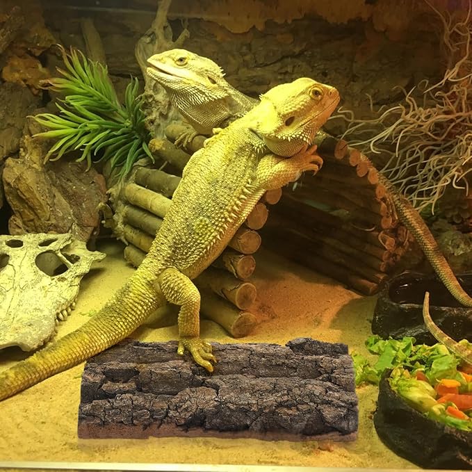 POPETPOP 3 Pcs Natural Bark Aquarium Decor 7.87X4.13X0.59In Reptile Tank Background for Terrarium Gecko Tortoise Snake Habitat Wall Ornament