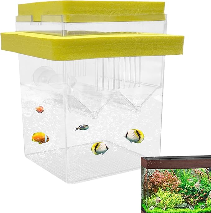 Aquarium Breeder Box – Fish Breeding Tank Box, Floating Fish Isolation Box With Suction Cups, Fish Egg Hatching Box For guppiess & Betta, Small Fish Breeder Tank, Fish Hatchery Box For Aquariums