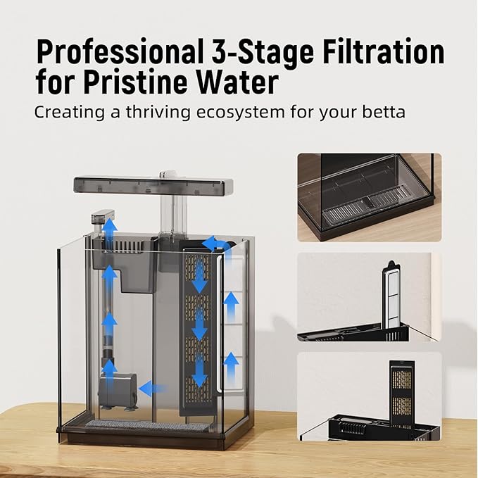 Betta Fish Tank, 2 Gallon Beta Fish Aquariums with Filtration, All-in-One Fish Tanks for Beginners