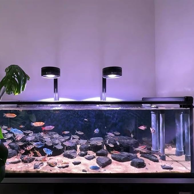 Retractable Fish Tank Hoods 30 * 12in or 24 * 12in Fish Tank Lid Anti-Jump Aquarium Lid for 29/20 Gallon Fish Tanks Prevent Cats from Climbing (M-24 * 12IN)