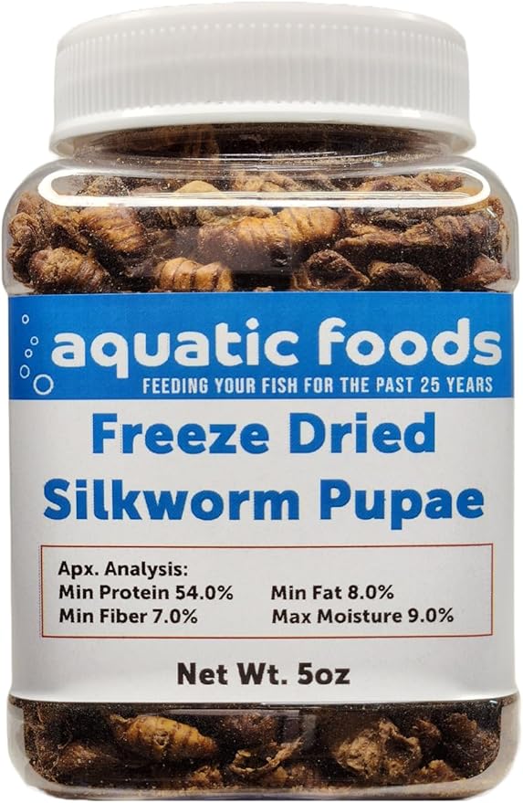 Silkworm Pupae, Freeze Dried for Koi, Pond Fish, Turtles, Large Fish. Silkworm is Rich in Natural Lipids & Proteins and a Natural Color Enhancing Treat..5oz Small Jar