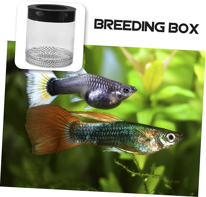 Ipetboom Fish Tank Hatching Box Floating Breeding Box Survival Rate Enhancer for Baby Fry Fish