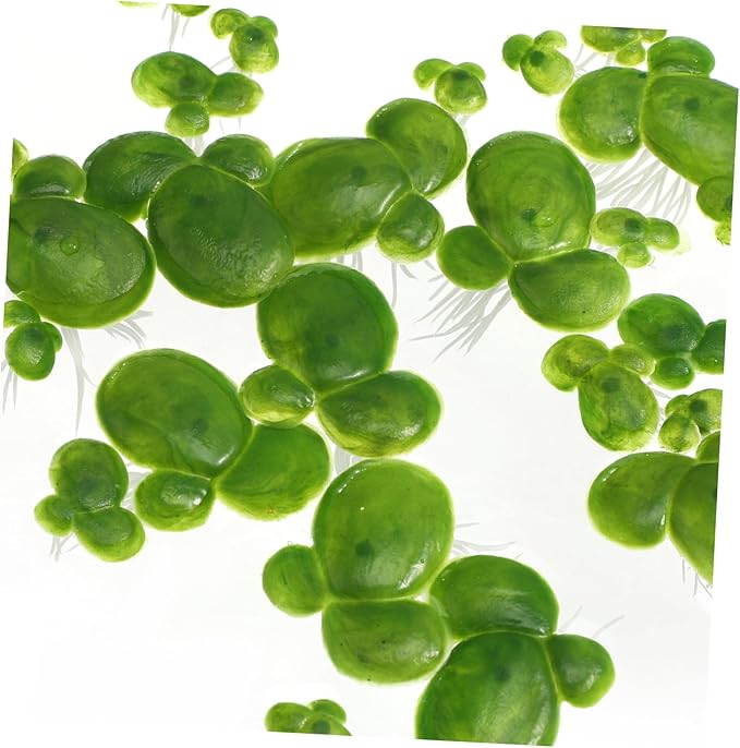 TEHAUX 36pcs Artificial Floating Duckweed Plant Artificial Foliage Pond Decor Pond Scenery Aquarium Fish Tank Decoration