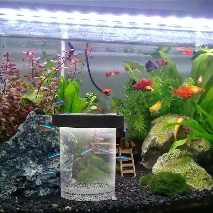 Ipetboom Floating Fish Breeding Box for Aquarium Tank - Plastic Hatching Box with Mesh Net for Baby, 5.9 X 3.9 X 3.9 in