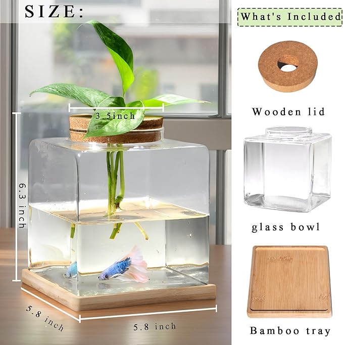 Desktop Betta Fish Tank with Wood Lid and Bamboo Stand Small Fish Bowl Glass for Beta Fish Hydroponic Plant Terrarium Aquarium Starter Kit 0.5 Gallon