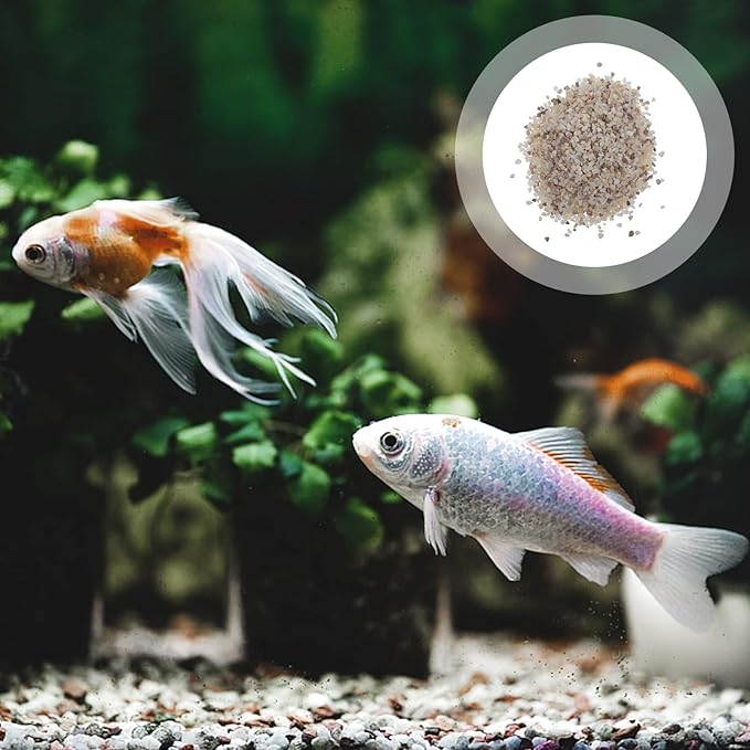 Ipetboom Aquarium Rocks for Fish Tank Decorative Gravel 1kg Natural Polished Fish Tank Gravels Bulk Aquarium Sands